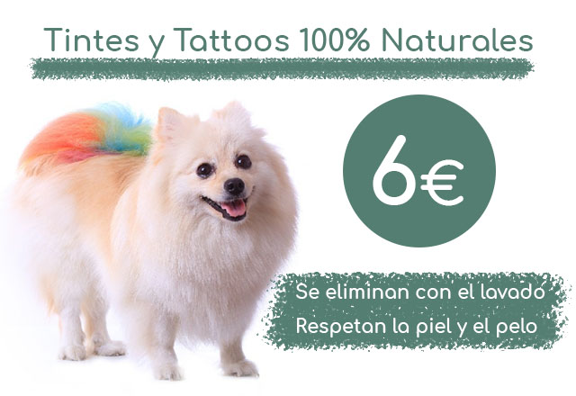 TINTES-TATTOOS